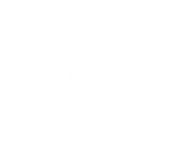 Zenzon MMA Logo